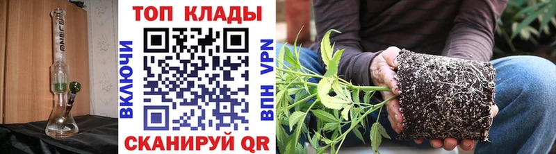 Как найти наркотики Мурманск Alpha-PVP  COCAIN  Амфетамин  Бошки Шишки  Гашиш 