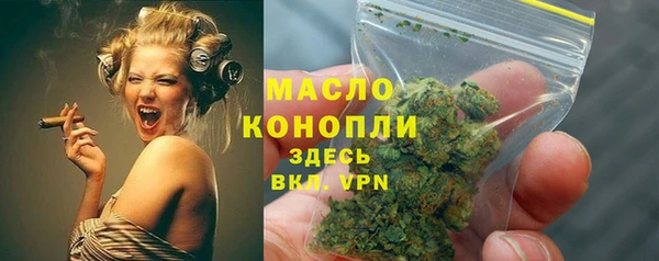 дмт Пересвет