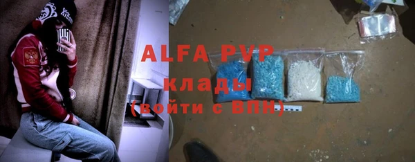 дмт Пересвет