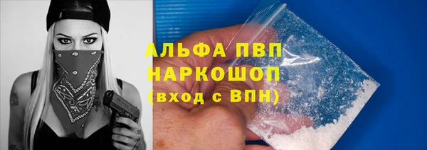 дмт Пересвет