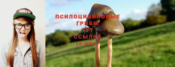 соль ск Осинники