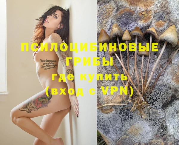 дмт Пересвет