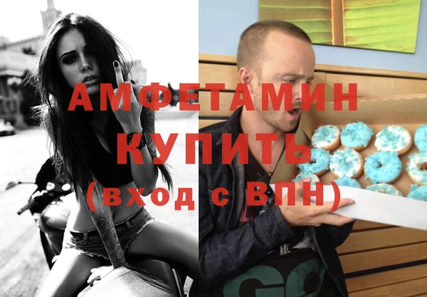 дмт Пересвет