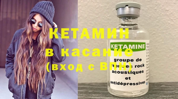 дмт Пересвет