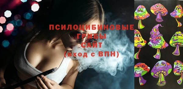дмт Пересвет