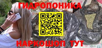 индика Моздок