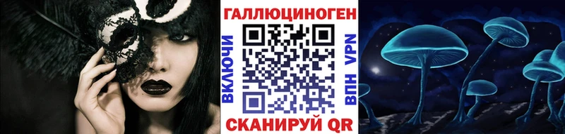 Галлюциногенные грибы Psilocybine cubensis  Мурманск 