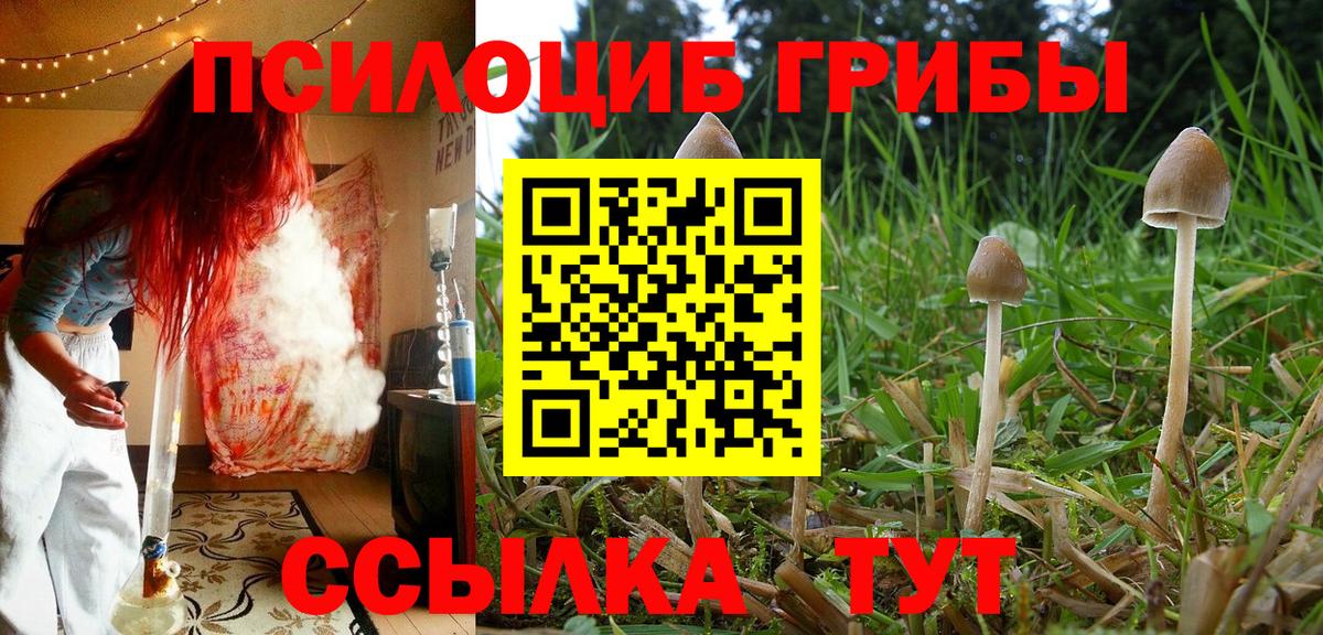 Мурманск  Галлюциногенные грибы Magic Shrooms  Вход с VPN 
